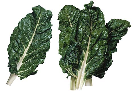 chard